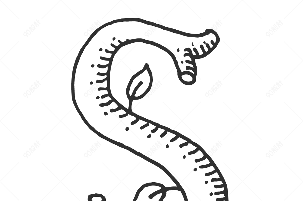 手绘线稿数字字母s