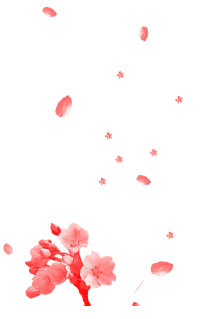 飞舞的花瓣图片大全
