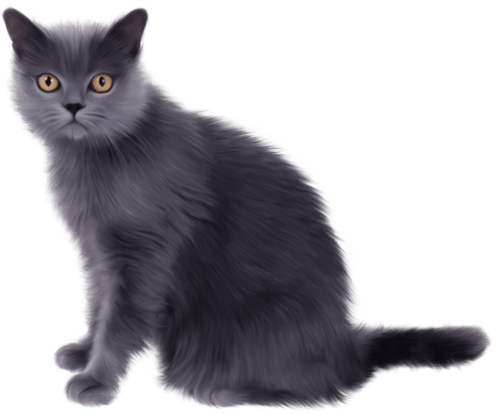 小猫图案图片大全_小猫图案图片素材【png免费下载】-90设计网