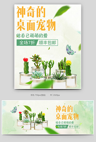 简约小清新风格日常多肉桌面植物全屏海报
