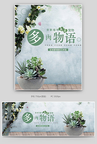 简约清新风格日常多肉植物全屏海报