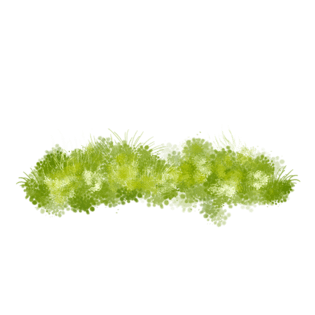 绿色手绘小清新水彩草地草丛