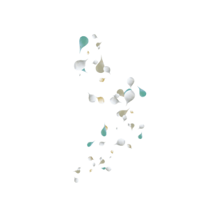 花瓣psd图片大全_花瓣psd图片素材【png免费下载】-90设计网