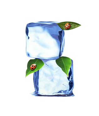 凉爽素材图片大全