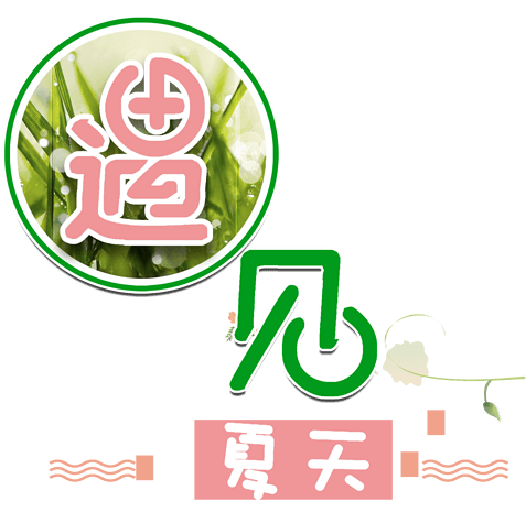 遇见夏天图片大全