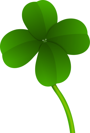 三叶草图片大全
