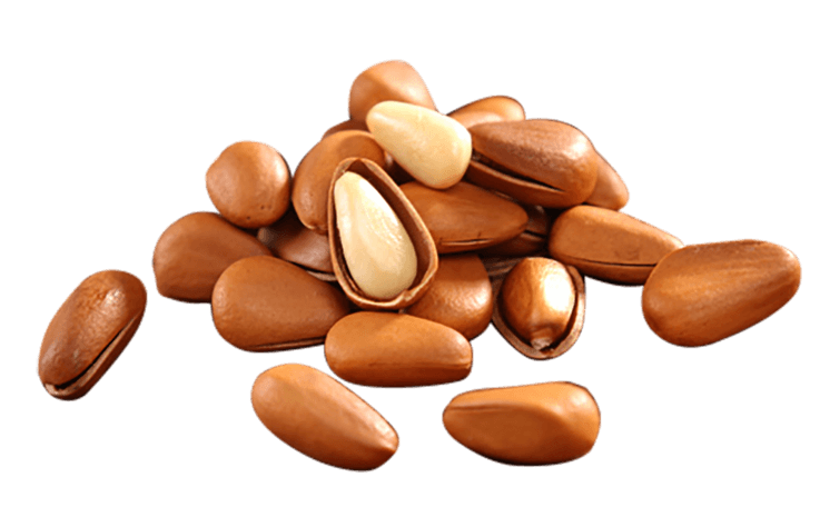 开口松子图片大全_开口松子图片素材【png免费下载】-90设计网