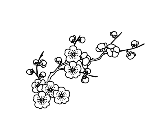 梅花线条图片大全