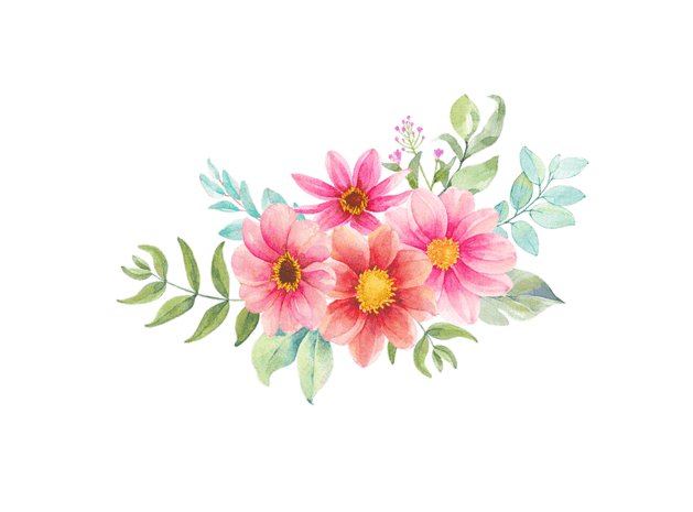 4朵红花手绘鲜花插画