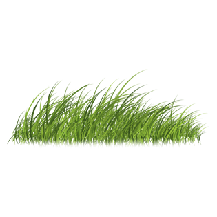 植物高清草丛免扣素材