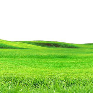 春天草坪图片大全_春天草坪图片素材【png免费下载】-90设计网