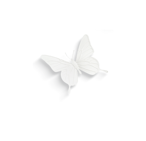 白色浮雕蝴蝶