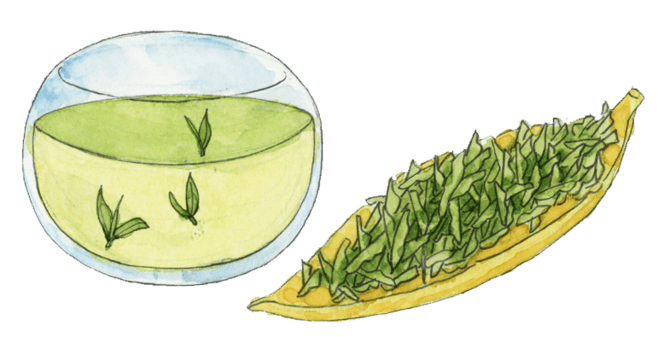 手绘绿色茶叶