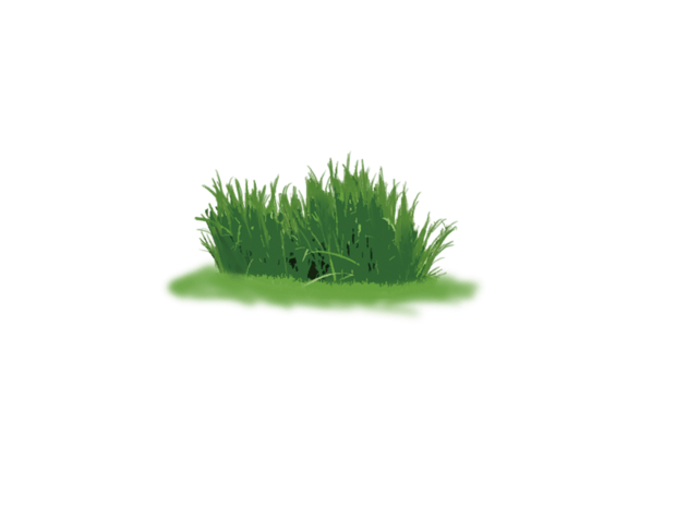 绿色青草草地免扣素材pngpsd2000*2000手绘绿叶装饰免抠图素材pngpsd