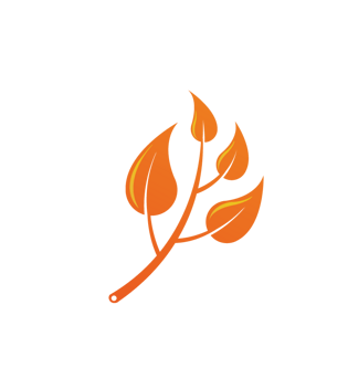 橘色素材图片大全