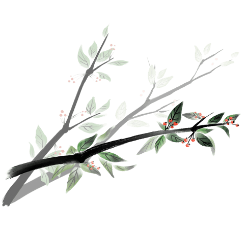 唯美植物图片大全_唯美植物图片素材【png免费下载】-90设计网