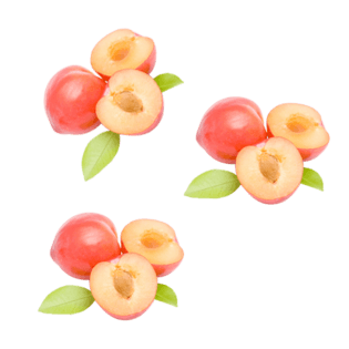 桃素材图片大全