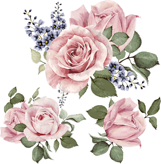 玫瑰花丛图片大全