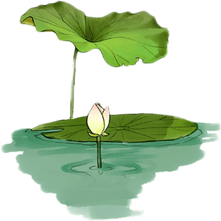 卡通荷叶元素图片大全