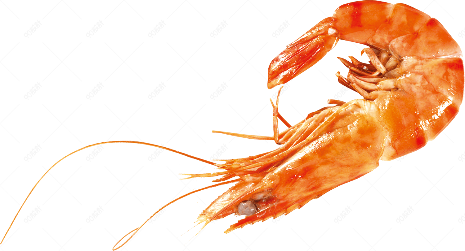 虾子【免抠元素png-90设计网