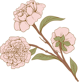 牡丹花叶子水彩装饰元素