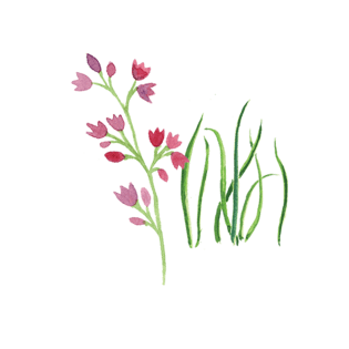 卡通手绘小草花朵