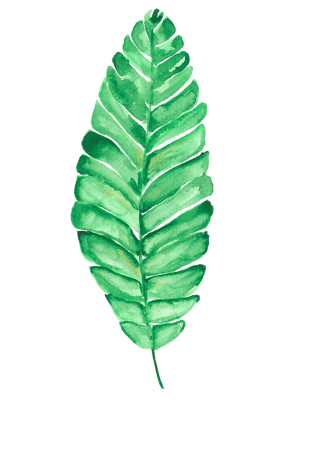 叶子片图片大全_叶子片图片素材【png免费下载】-90设计网