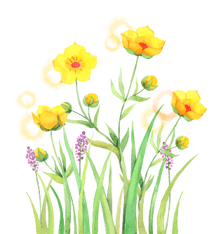 黄色花朵植物pngpsd2000*2000一束黄色野花pngpsd2000*2000玫瑰花png