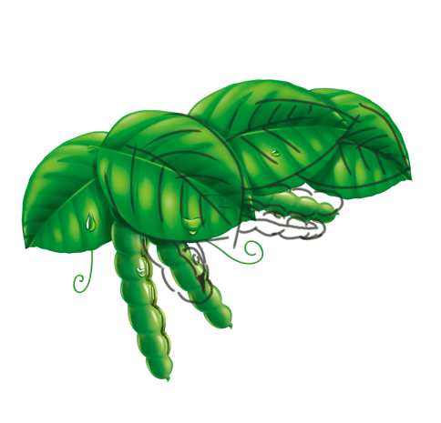 豆角豆角卡通豆角相关推荐:pngpsd默认格式:精品新图片热门收藏热门