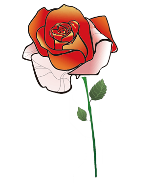 手绘一朵红色玫瑰花