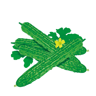 手绘人物手绘柠檬手绘花鸟手绘对话框手绘插画苦瓜卡通手绘相关推荐