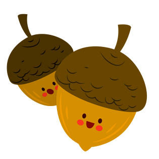 卡通扁平化枫叶松子边框pngpsd2000*2000松果松塔松树种子松子海松png