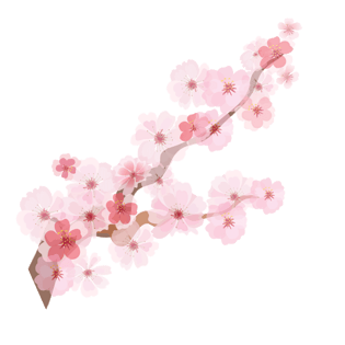 桃花运图片大全