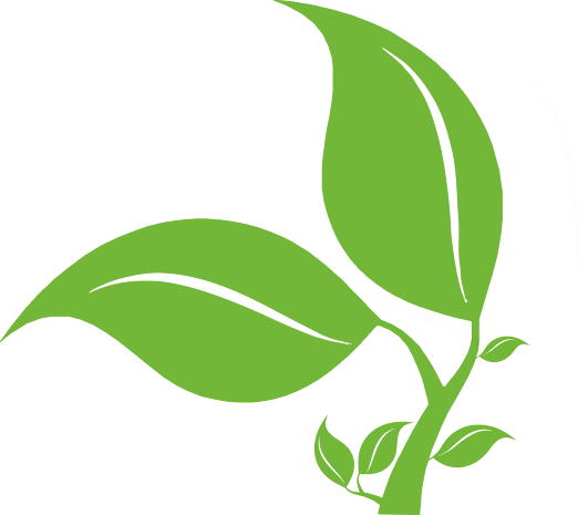 pngpsd2000*2000绿色小树元素合集pngpsd2000*2000卡通小树绿色系 免