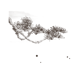 手绘松柏树枝