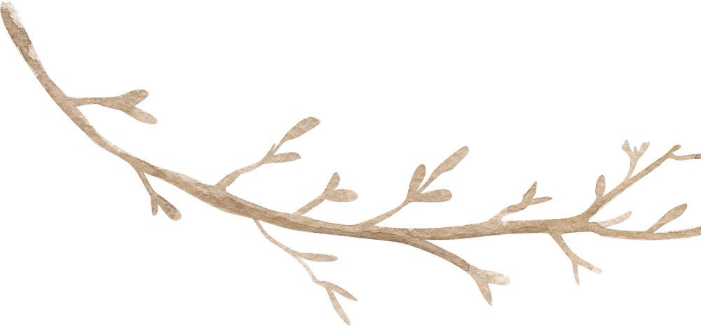 树干树枝卡通图片大全