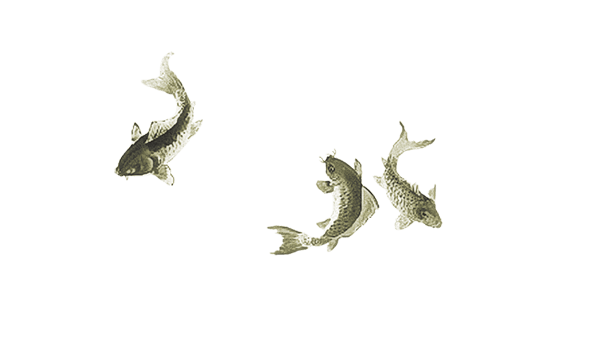 可爱小鱼图片大全_可爱小鱼图片素材【png免费下载】-90设计网