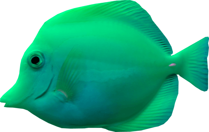绿色鱼图片大全