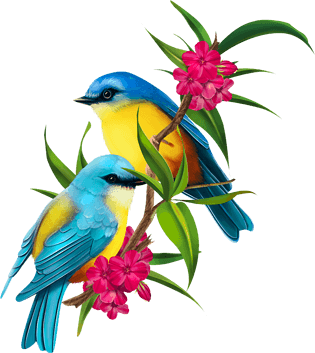 飞翔的小鸟图片大全_飞翔的小鸟图片素材【png免费下载】-90设计网