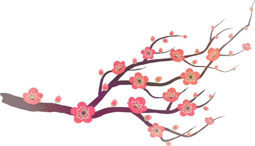 花瓣心图片大全