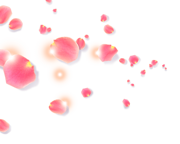 漂浮花瓣粉色