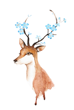 麋鹿鹿角图片大全