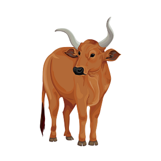 卡通手绘牦牛