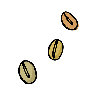 咖啡豆手绘图片大全