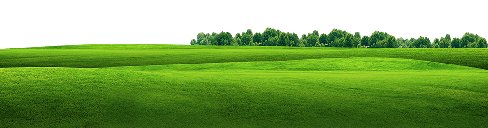 png草地图片大全