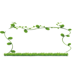 草边框图片大全