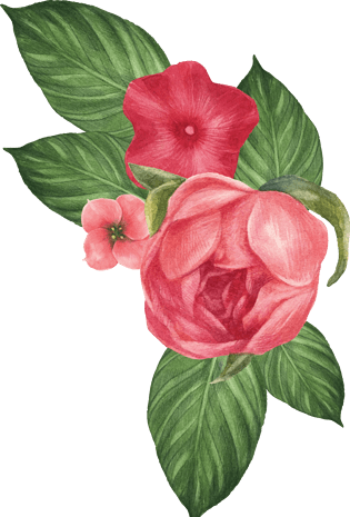 watercolour图片大全_watercolour图片素材【png免费下载】-90设计网