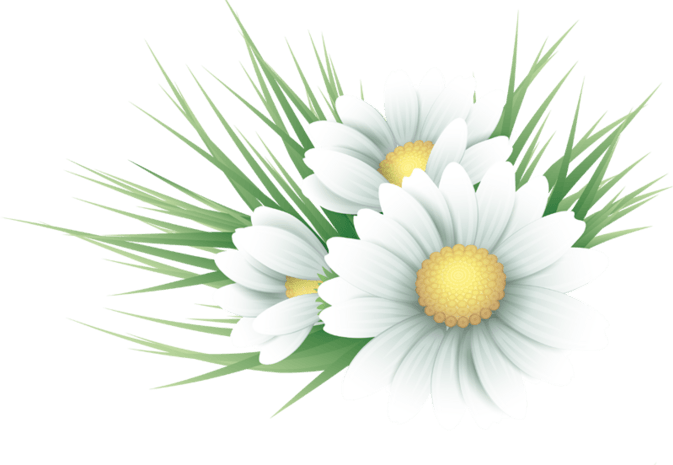 小花瓣装饰图片大全