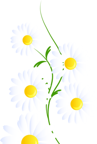 小花瓣装饰图片大全