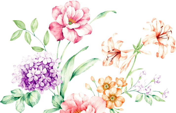 百合花图片大全 百合花图片素材 Png免费下载 90设计网